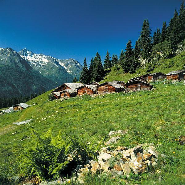 Alp Chalet Appartement Kappl  Eksteriør billede